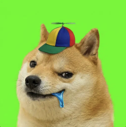 Stupid Inu